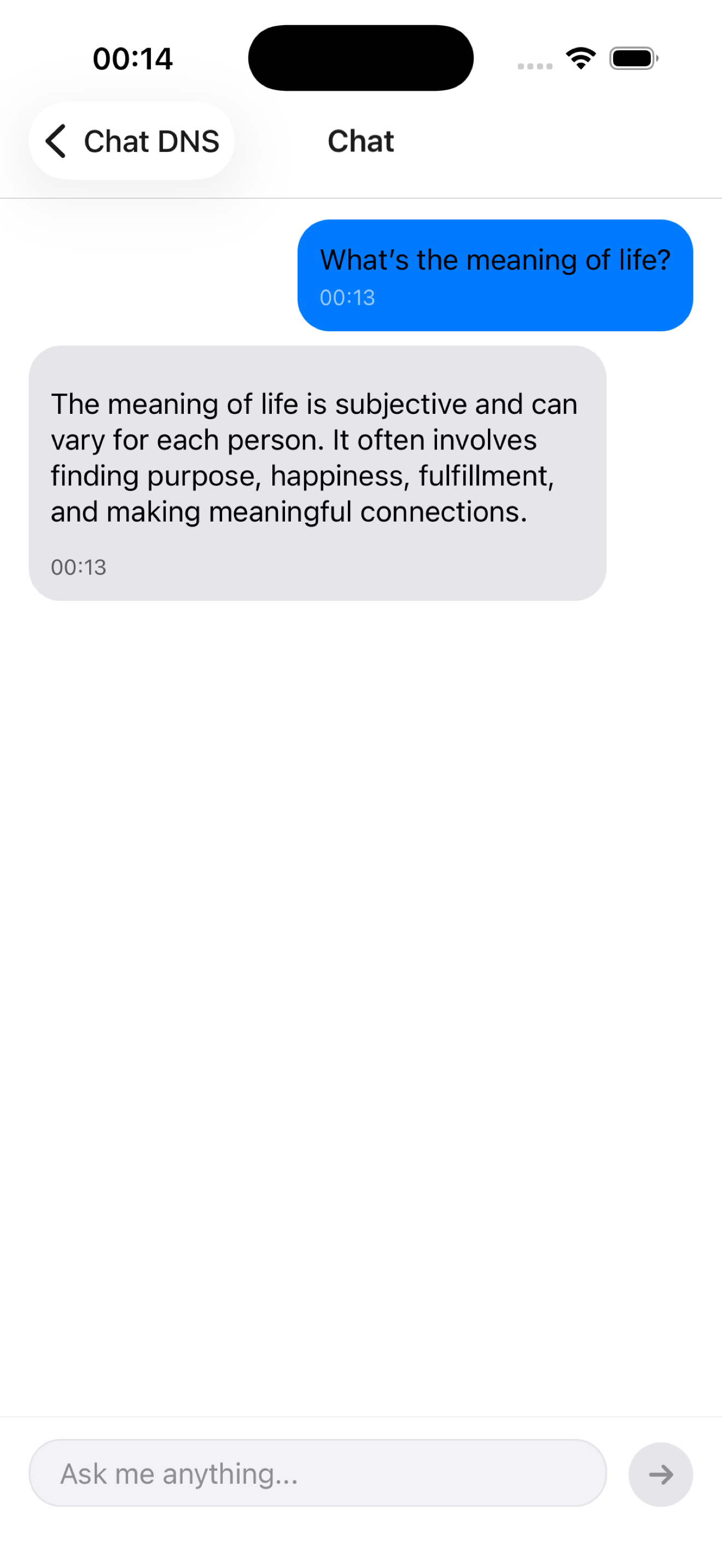 DNS Chat Basic Conversation
