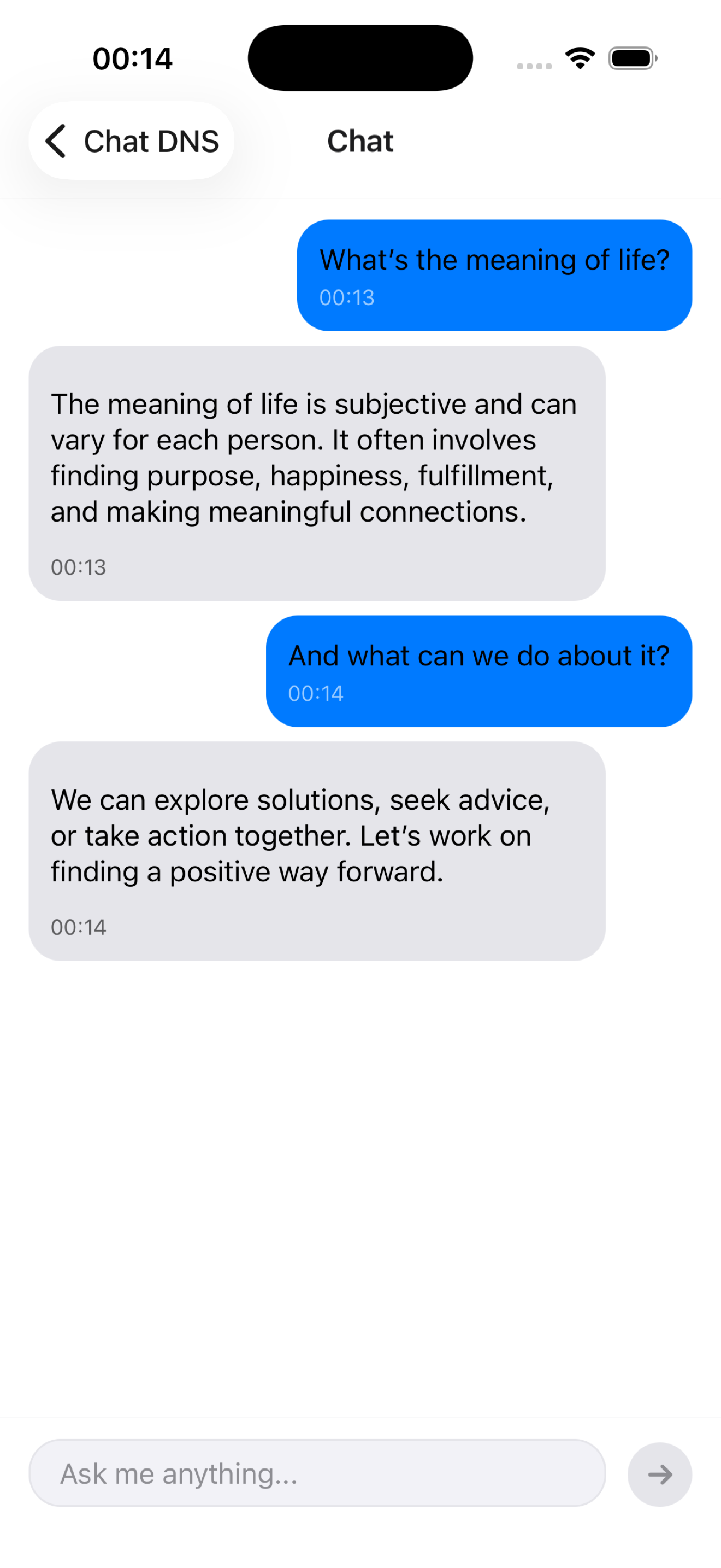 DNS Chat Extended Conversation